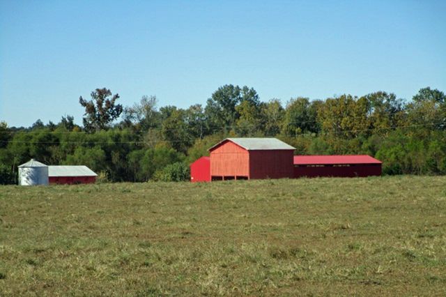 144 Mary Adams Rd, Franklin, KY 42134