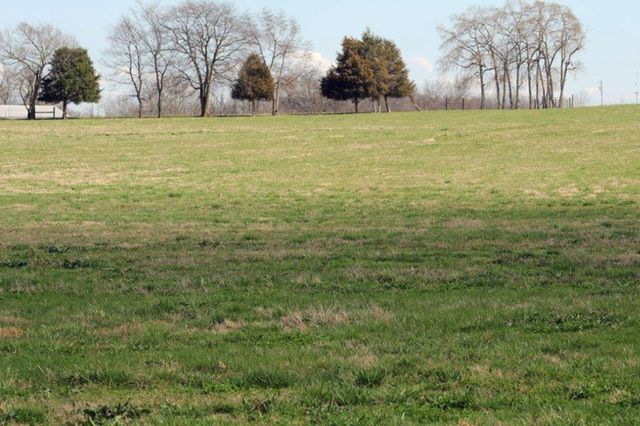 144 Mary Adams Rd, Franklin, KY 42134