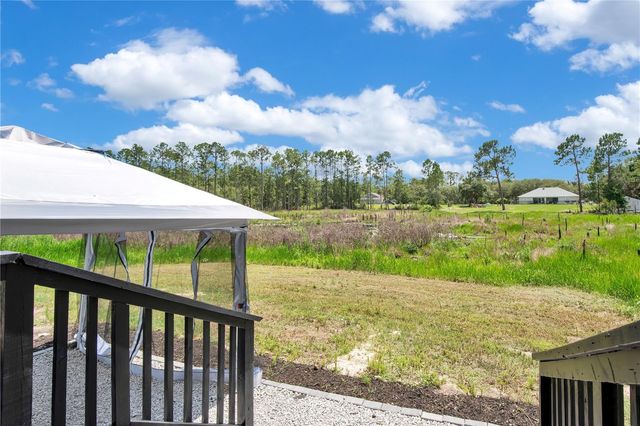42111 CHINABERRY COURT, Eustis, FL 32736