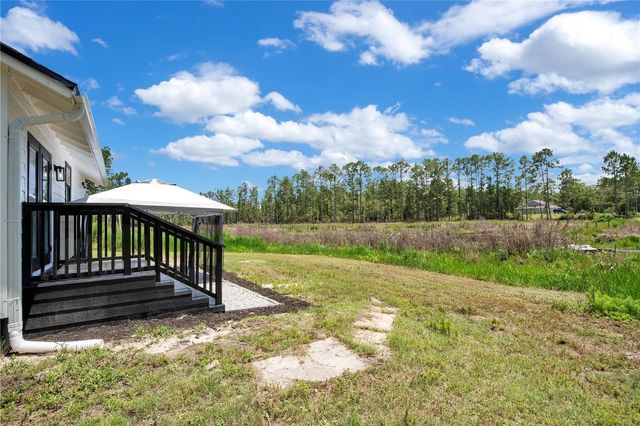 42111 CHINABERRY COURT, Eustis, FL 32736