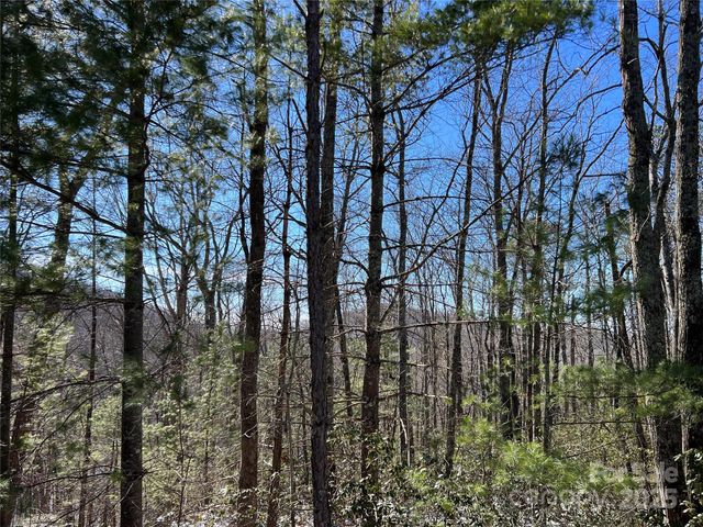 TBD (Lot 4) Wolf Den Lane, Lenoir, NC 28645