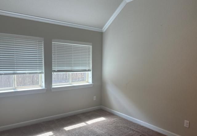 3422 Bay Drive, Rosharon, TX 77583