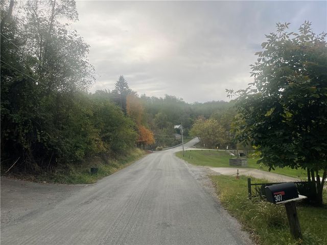 311 Mount Tabor Rd, Coal Center, PA 15423