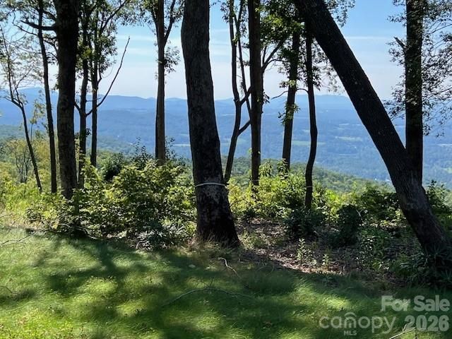 462 E Garden Trail 37, Hendersonville, NC 28792