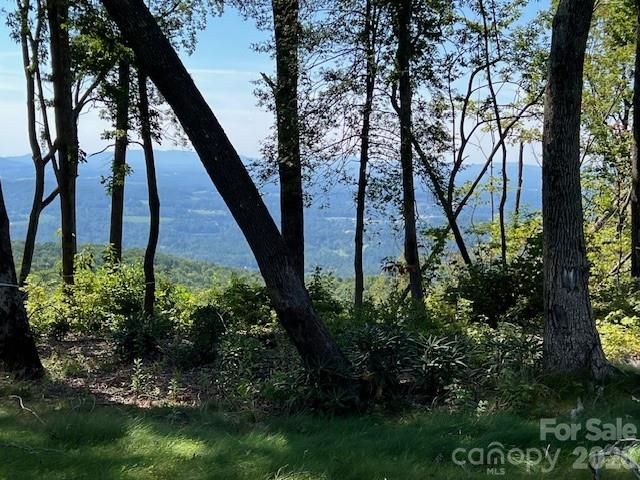 462 E Garden Trail 37, Hendersonville, NC 28792