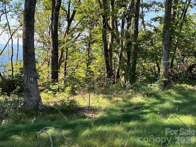 462 E Garden Trail 37, Hendersonville, NC 28792