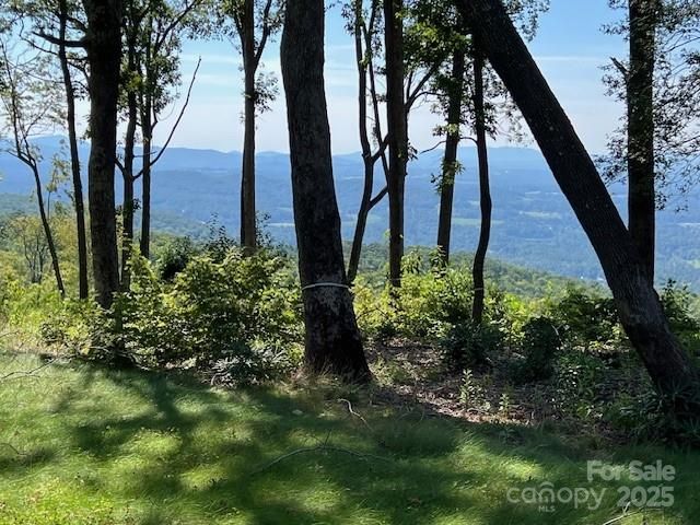 462 E Garden Trail 37, Hendersonville, NC 28792