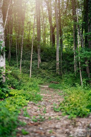 462 E Garden Trail 37, Hendersonville, NC 28792