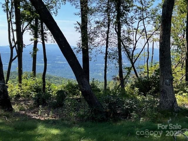 462 E Garden Trail 37, Hendersonville, NC 28792