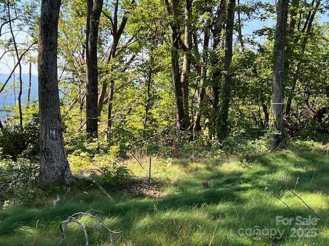 462 E Garden Trail 37, Hendersonville, NC 28792