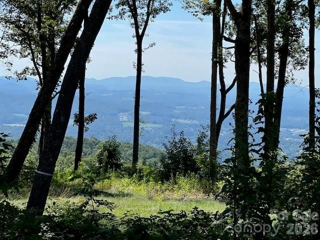 462 E Garden Trail 37, Hendersonville, NC 28792