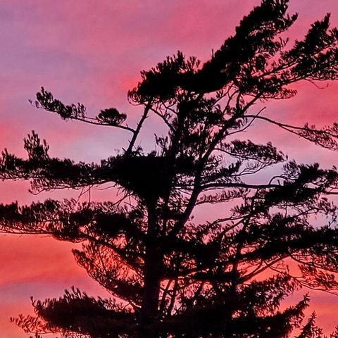 12 Hideaway Vlg G, Bourne, MA 02532