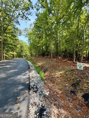 LOT 25 Prospect Ridge, Blue Ridge, GA 30513