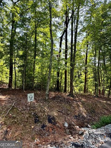 LOT 25 Prospect Ridge, Blue Ridge, GA 30513