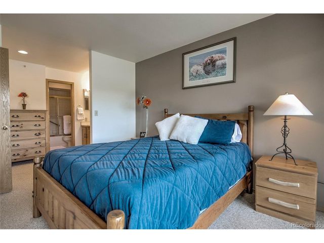 1610 Lakeview Ter A101, Frisco, CO 80443