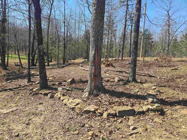 459 Junction Road, Mountain View, AR 72560