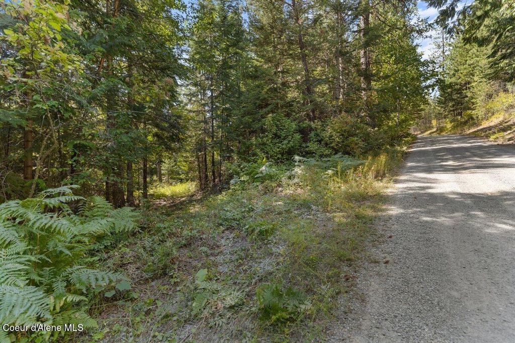 NNA Granite Ridge Rd, Priest River, ID 83856 photo 16