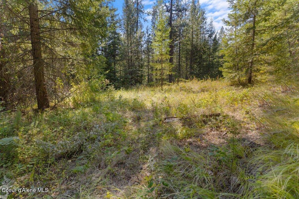 NNA Granite Ridge Rd, Priest River, ID 83856 photo 18