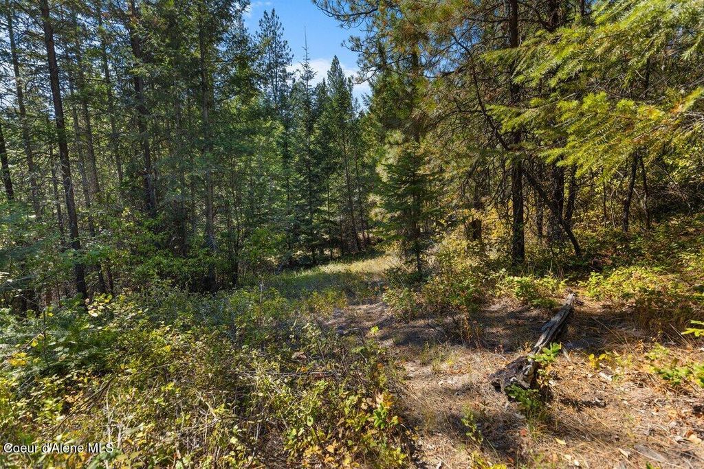 NNA Granite Ridge Rd, Priest River, ID 83856 photo 19