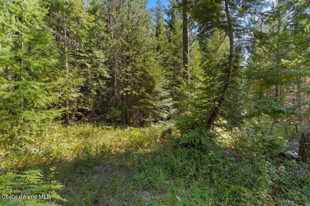 NNA Granite Ridge Rd, Priest River, ID 83856 photo 20