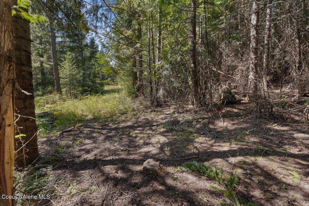 NNA Granite Ridge Rd, Priest River, ID 83856 photo 21