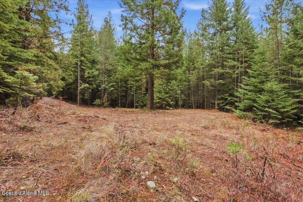 NNA Granite Ridge Rd, Priest River, ID 83856 photo 4