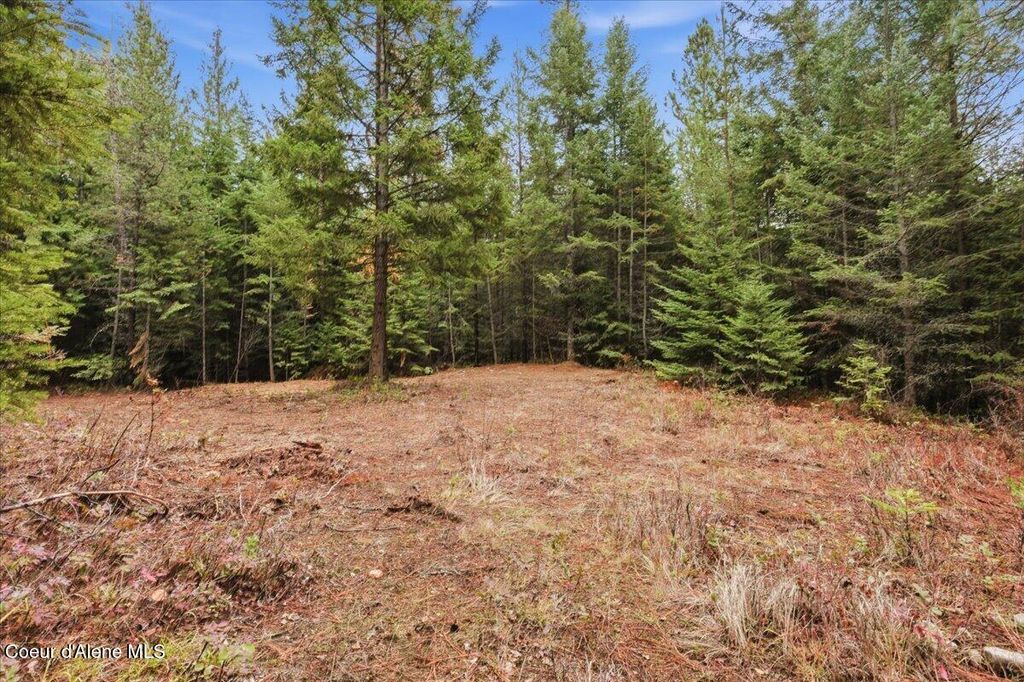 NNA Granite Ridge Rd, Priest River, ID 83856 photo 5