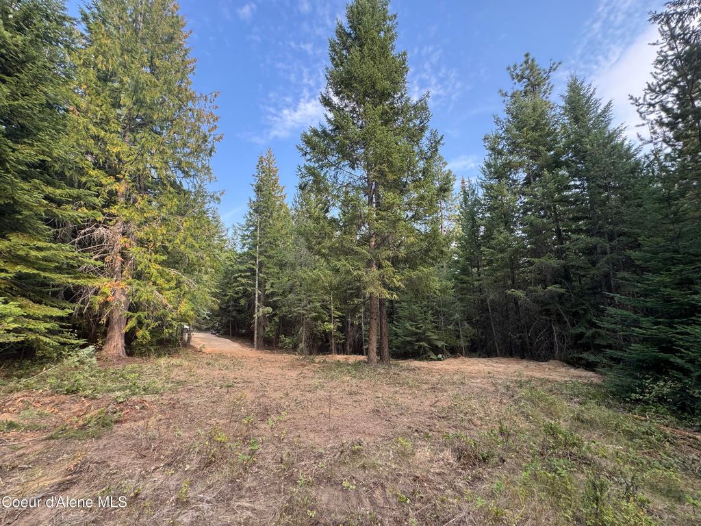 NNA Granite Ridge Rd, Priest River, ID 83856 photo 9