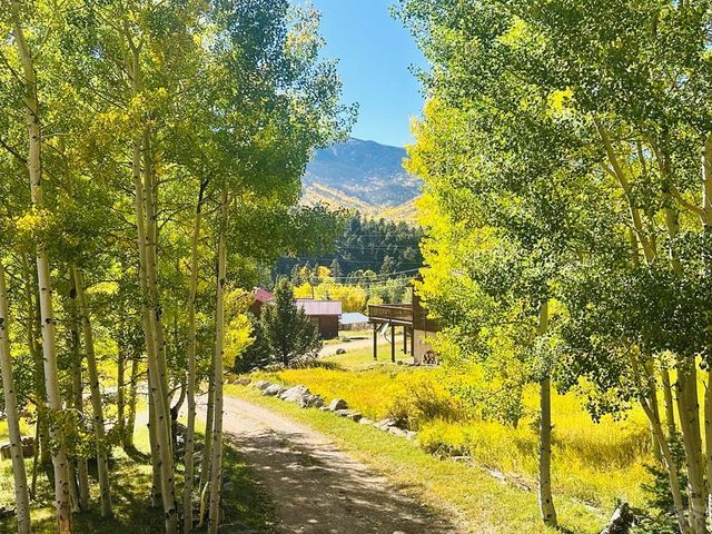834 Ponderosa Rd, Cuchara, CO 81055
