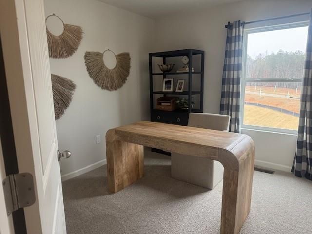 6724 Leigh Street, Flowery Branch, GA 30542