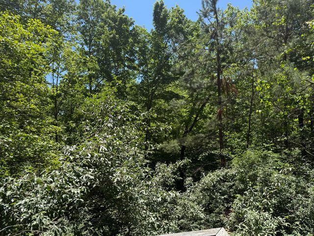 35 Clarks Bottom Road, London, KY 40744