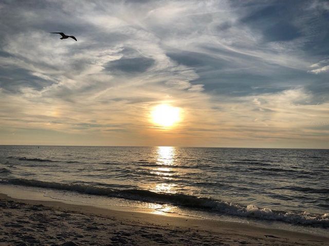 100 BLUFF VIEW DRIVE 317A, Belleair Bluffs, FL 33770