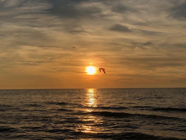 100 BLUFF VIEW DRIVE 317A, Belleair Bluffs, FL 33770