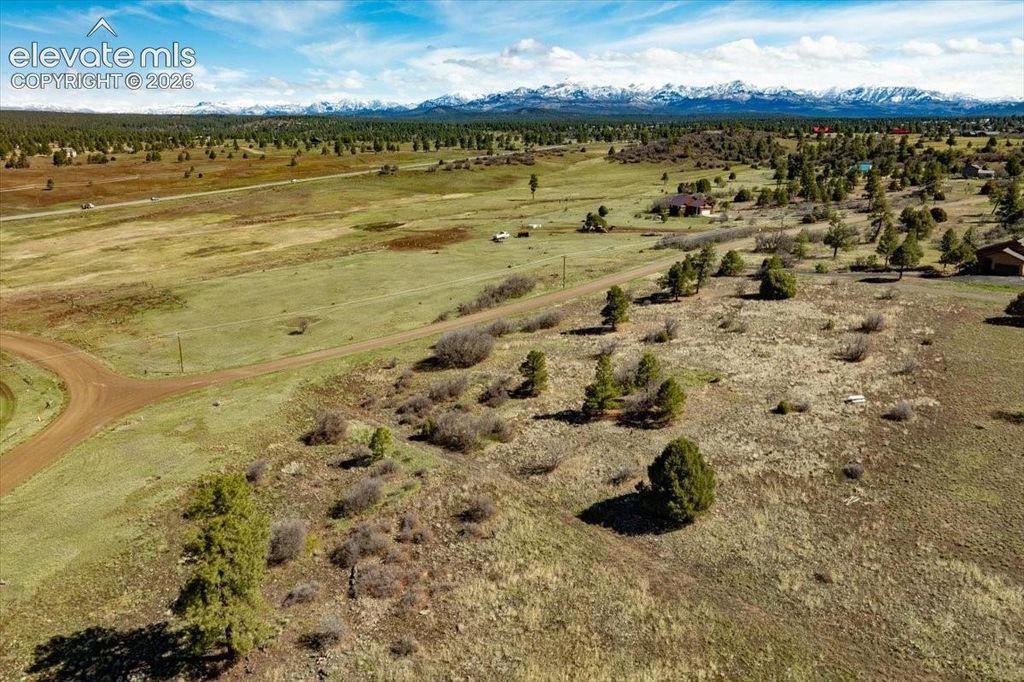 1234 Scenic Avenue, Pagosa Springs, CO 81147 — exterior