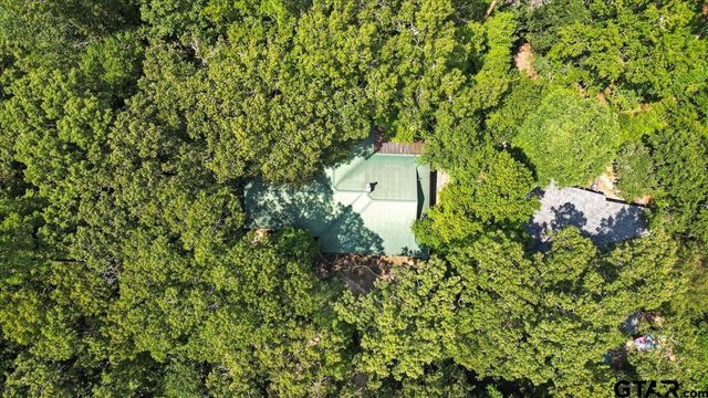 2040 Valleywood Trail, Holly Lake Ranch, TX 75765