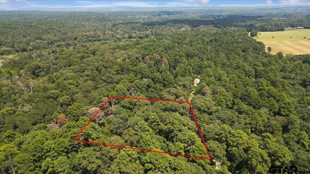 2040 Valleywood Trail, Holly Lake Ranch, TX 75765