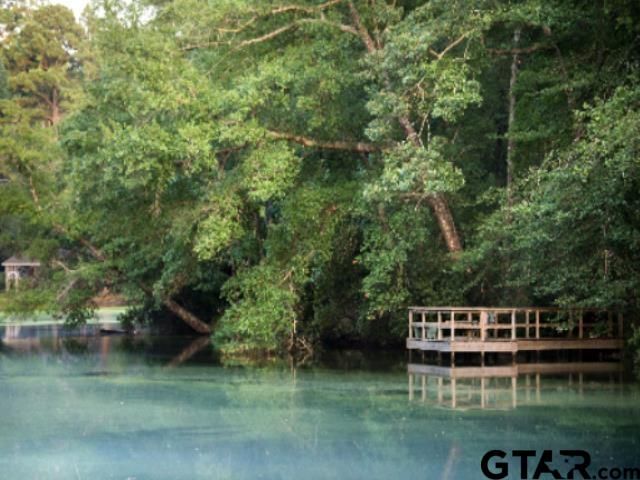 2040 Valleywood Trail, Holly Lake Ranch, TX 75765