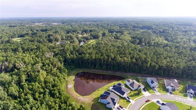 399 Beecher Drive, Richmond Hill, GA 31324