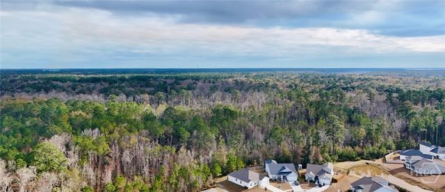 399 Beecher Drive, Richmond Hill, GA 31324