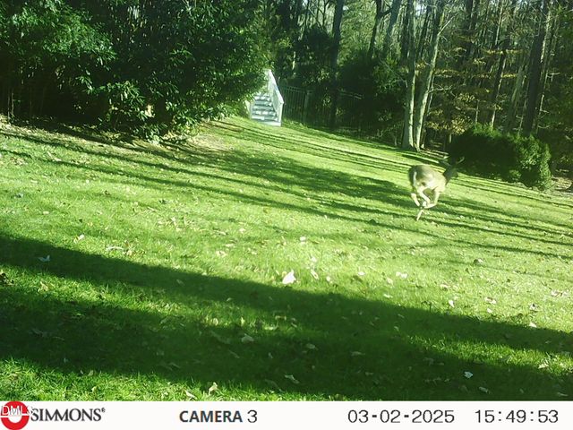 672 Lake Wackena Road, Goldsboro, NC 27534