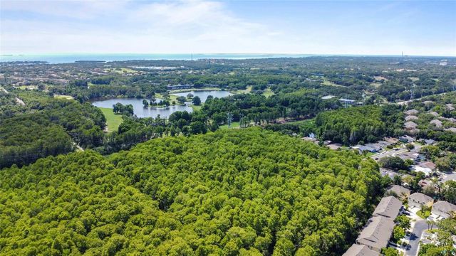 3350 FOX HUNT DRIVE, Palm Harbor, FL 34683