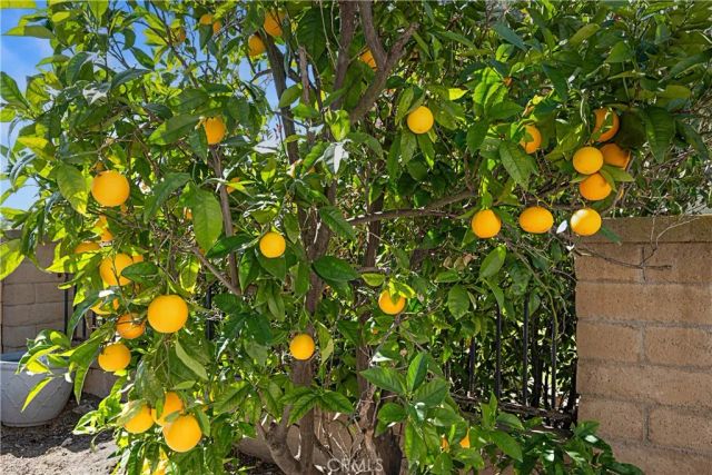 28782 Bolanos, Mission Viejo, CA 92692