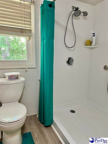 2917 Chippenham Rd, Marion, SC 29571