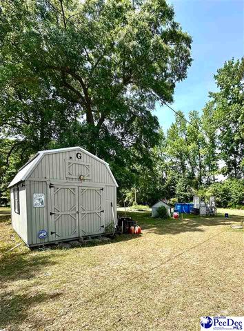 2917 Chippenham Rd, Marion, SC 29571