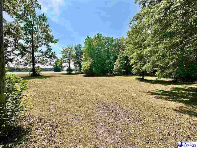 2917 Chippenham Rd, Marion, SC 29571