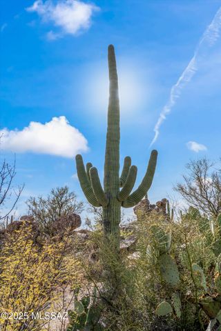 530 E Thunderstorm Place, Oro Valley, AZ 85755