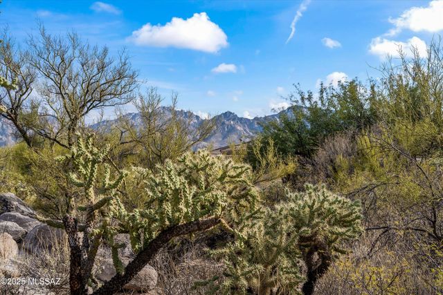 530 E Thunderstorm Place, Oro Valley, AZ 85755