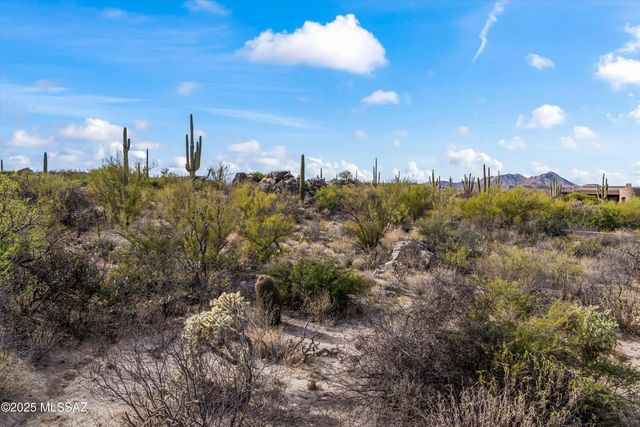 530 E Thunderstorm Place, Oro Valley, AZ 85755