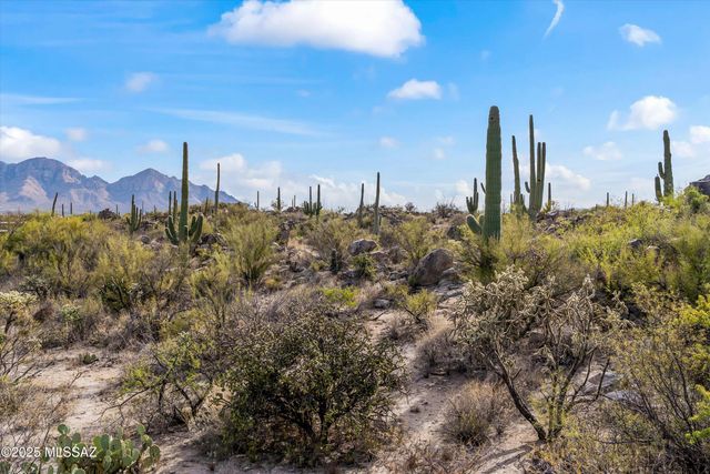 530 E Thunderstorm Place, Oro Valley, AZ 85755