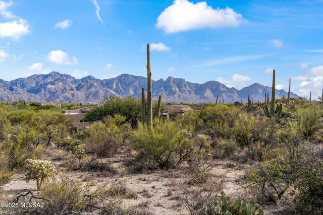 530 E Thunderstorm Place, Oro Valley, AZ 85755